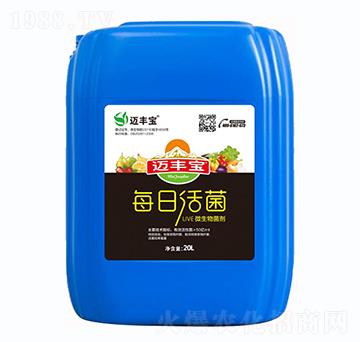 ÿ�ջ��-�~�S��-������