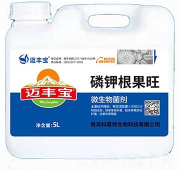 ��⛸�����-�~�S��-������