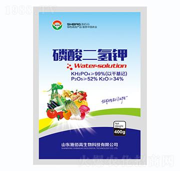 ��������-ʩ�۸�