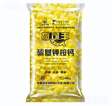 �����@�}-�����S-�Z����