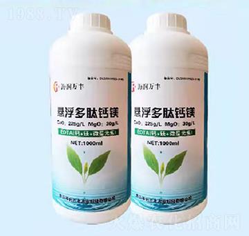 �Ҹ������}�V-�����f�S