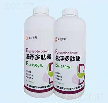 �Ҹ�������-����(r��n)�f(w��n)�S