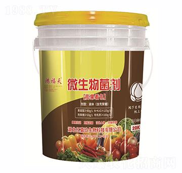 ΢��������������ɫ��-�|�ξ�