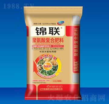 �۰����(f��)�Ϸ���25-11-12-�\(li��n)-ʢԴ�ʘI(y��)