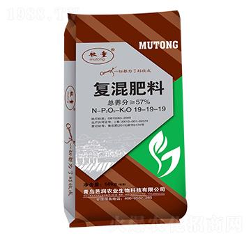 �ͻ����19-19-1