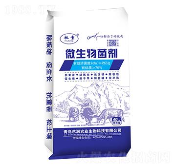 �r��΢�������-�ŝ�