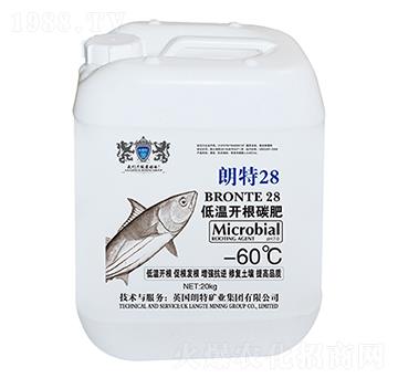 �͜��_(k��i)��̼��-����28-Ӣ����