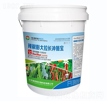 辣椒膨大拉長沖施寶-施佰高