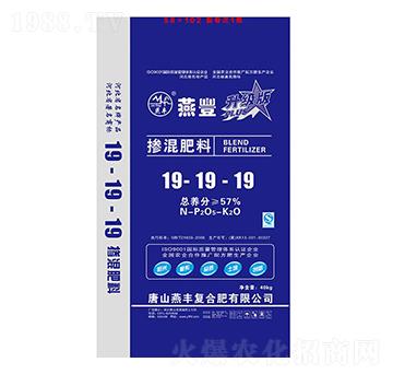 �������19-19-1