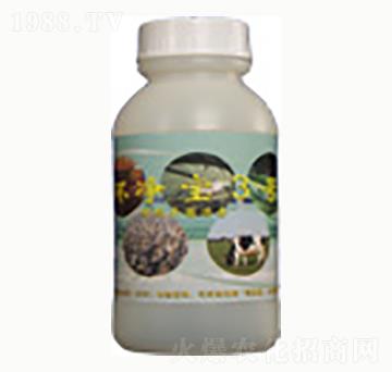 �h(hu��n)��3̖(h��o)-�n����