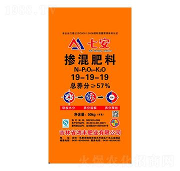 �������19-19-19-���S�ʘI(y��)