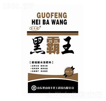 �ڰ���-�ٺ���-���S�ʘI(y��)