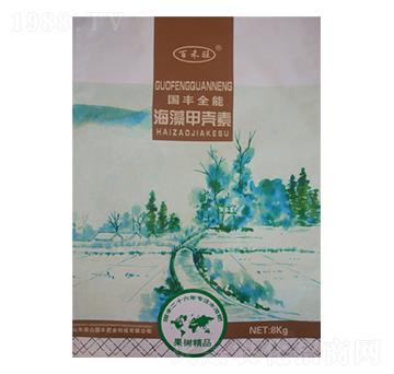 ����ך���-���S�ʘI(y��)