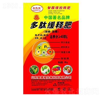 ���ľ����28-5-12-�W�¸�