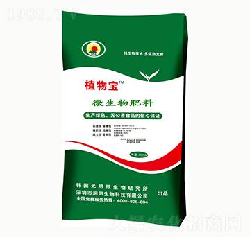 ΢�������-ֲ�-��������