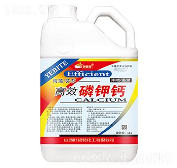 ��Ч����}-�~����