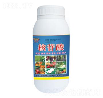 �������~���-��(r��n)�����