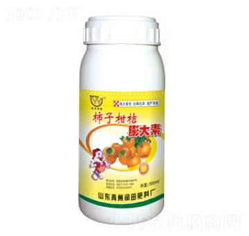 ���Ӹ��������-��(r��n)���