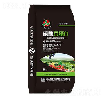 ̼ø������-��Դ-�S������