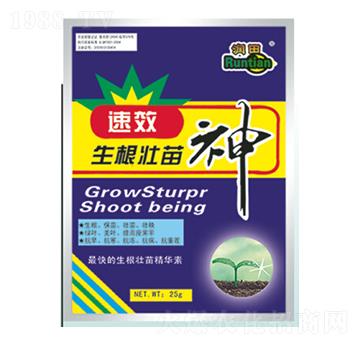 ����������-��(r��n)�����