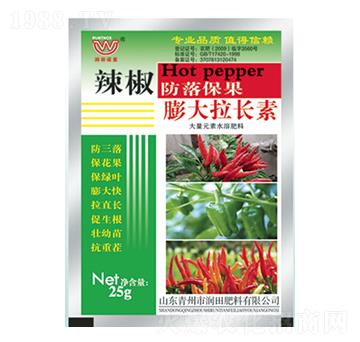 ����������L(zh��ng)��-��(r��n)���