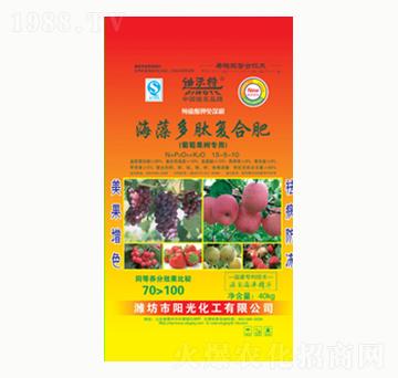 ������ď�(f��)�Ϸ�-ꖹ⻯