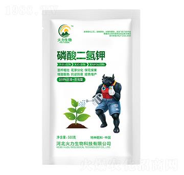 500g��������-��������