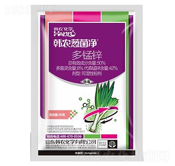 50%�ࡤ�i�\�ɝ��Էۄ�-�n�r�[����-�n�r