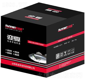 ӭ���~���׏�(f��)�Ͼ��Ҹ����ܷ�-����-Ǭ���r(n��ng)�I(y��)