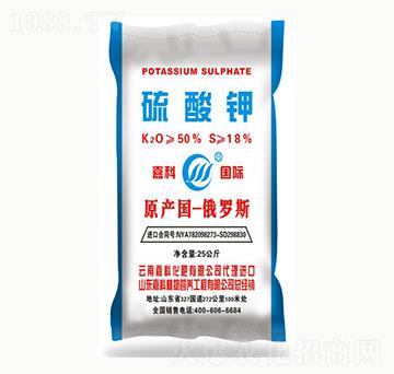 �����-�ο�