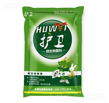 �o�l(w��i)��΢�������-���G��