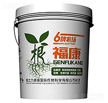 ������-������