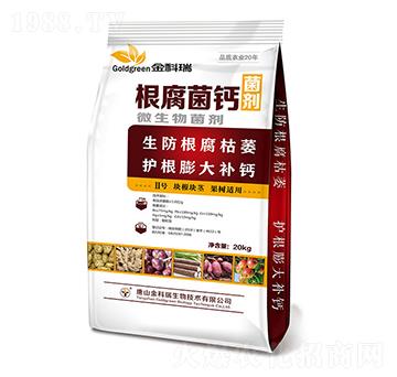 �������}2̖(h��o)-�����