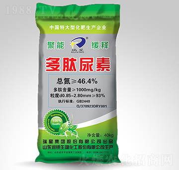 ���ܾ�ጺ���������-����