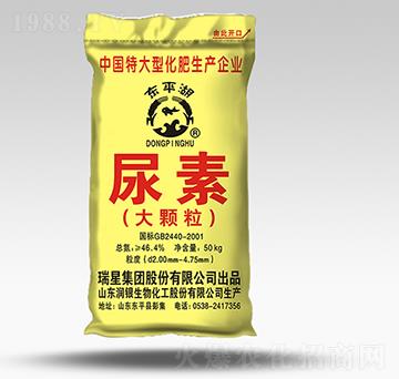 ���w������-�|ƽ��-����