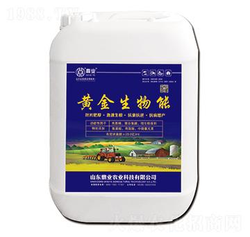 �S��������-���I(y��)