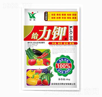 �o���-�GѸ