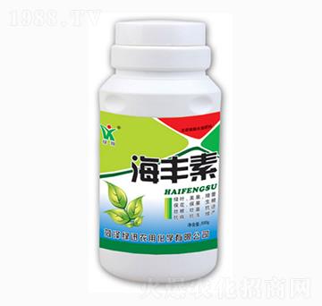 ���S��-�GѸ