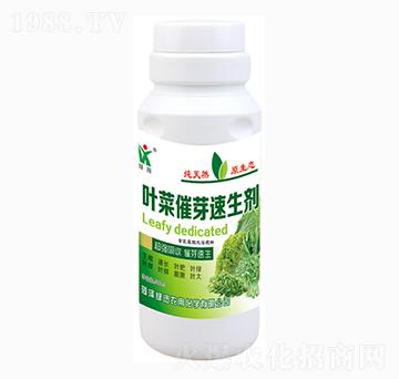 �~�˴�ѿ������-�GӍ