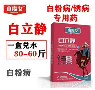 �׷۲����P������ˎ-�����o-СħŮ-���н�