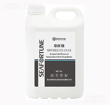 5L����(y��u)��-�����r�I(y��)