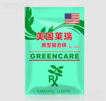 ���������F-���քP��