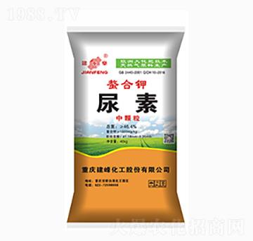 �����-����