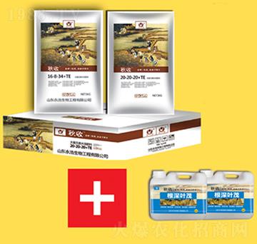 �Ѹ�����ײ�1+1-��������