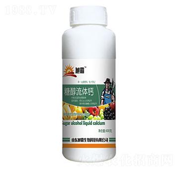 �Ǵ����w�}-�������