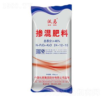 �������24-12-10-���R-�G����