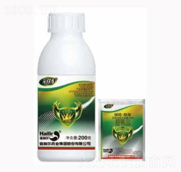 �ڗ�x��-������