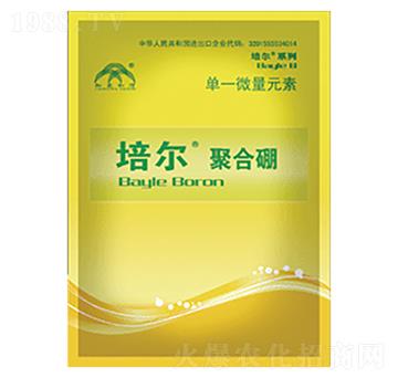 �ࠖ��-���r(n��ng)����