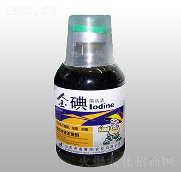 ��������-ِ��r(n��ng)��