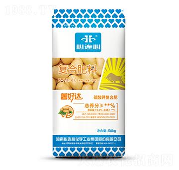 �����_����ÏͺϷ���-���B��